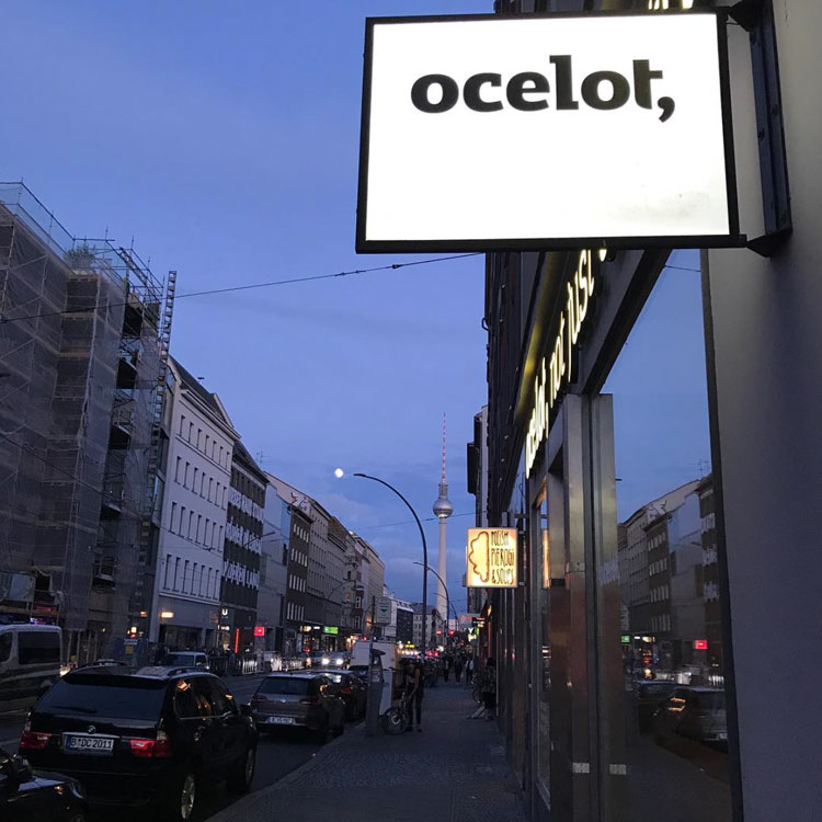 feel-good-place-ocelot-berlin-der-wohlf-hl-buchladen